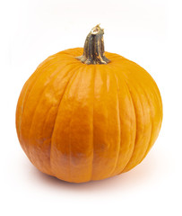 Single Large Orange Pumpkin on a White Background