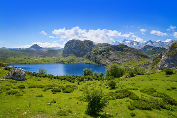 Enol lake at Picos de Europa in Asturias Spain