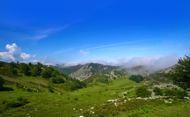 Fototapeta na wymiar Picos de Europa in Asturias of Spain