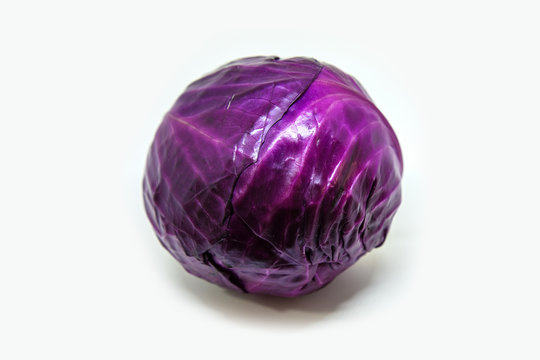 Purple Cabbage