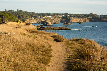 Hiking trail near the cliffs, and ocean in Mendocino, California
