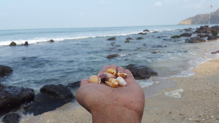 Shell, Hands and Sea