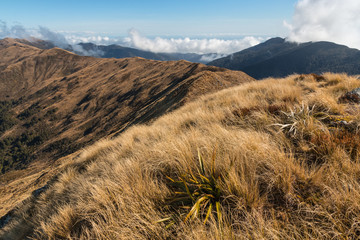 Paparoa Track on the West Coast of South Island, New Zealand