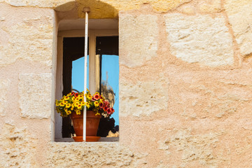 stone wall with an old window and yellow flower pot