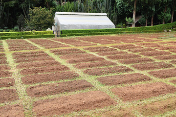 preparing soil for planting vegetable in organic farming