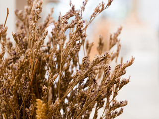Dried flowers used in home decoration in bokeh bulb behind the scenes.soft focus.