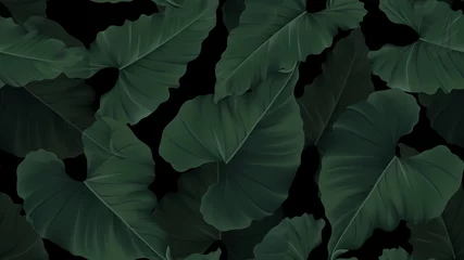 Fototapeten Floral seamless pattern, green hearted shape leaves on black background © momosama