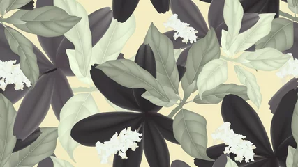 Fototapeten Floral seamless pattern, black and green leaves with small white flowers on light yellow background © momosama