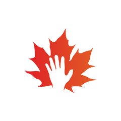 maple leaf logo icon design template vector