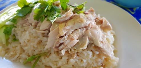 ข้าวมันไก่