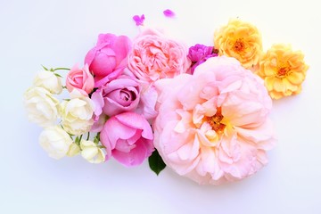沢山の美しいバラの花びら、室内、白背景