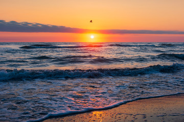 Fototapeta premium Amazing beautiful sunrise at the sea