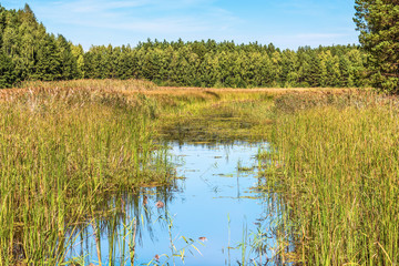 View of the forest river Hohoru, the tributary of the Dnieper from the right bank, Ukraine