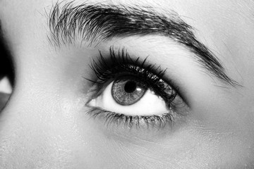 A beautiful insightful look woman's eye. Close up shot.