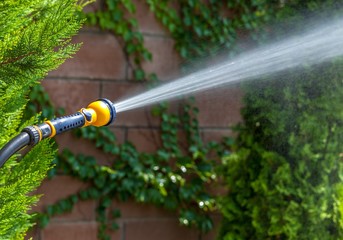 Hose with Spray Nozzle