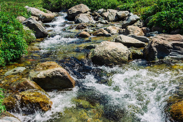 Mountain creek with big boulders near green meadow in sunny day. Clean water stream in fast brook in sunlight. Amazing landscape of Altai nature.