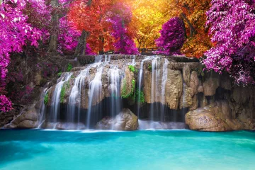 Foto op Plexiglas Diep regenwoud jungle waterval © preto_perola