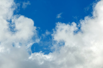 The image of white clouds in the blue sky.