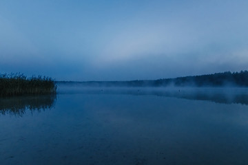 Fog over the lake, twilight over the lake, very dense fog, dawn, blue sky over the lake, the morning comes, the forest reflects in the water, surface water, clear morning sky, gothic, Grim picture