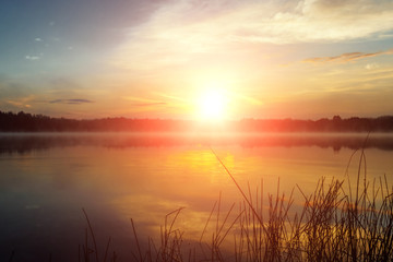 Obraz premium Beautiful, pink violet dawn over the lake. Fog over the lake, the rays of the sun, very dense fog, dawn, the blue sky over the lake, the morning comes, the forest reflects in the water.