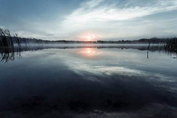 Fog over the lake, twilight over the lake, very dense fog, dawn, blue sky over the lake, the morning comes, the forest reflects in the water, surface water, clear morning sky, gothic, Grim picture