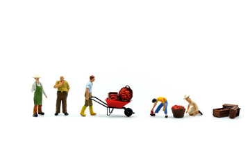 Miniature people : worker with market apple using for concept of Apple Day.