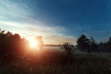 Beautiful foggy landscape, sunset. The fog glowing in the sunlight, above the meadow grass.