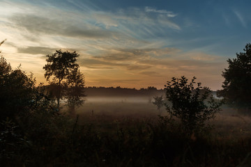 Fototapeta na wymiar Beautiful foggy landscape, sunset. The fog glowing in the sunlight, above the meadow grass.