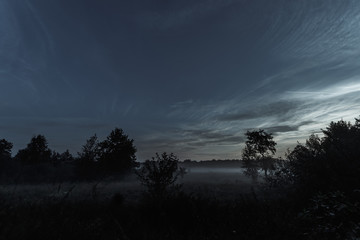 Mysterious, mystical, gloomy landscape at sunset, fog over the meadow. A magical twilight situation.