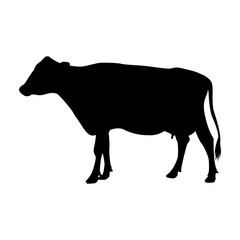 cow   vector illustration  black silhouette  profile
