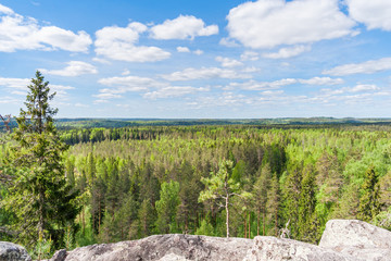 Forest open space under the Lynx mountain in Karelia © Тищенко Дмитрий