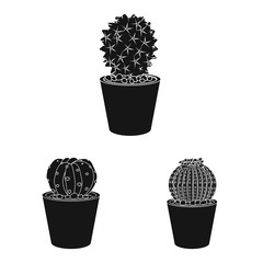 Isolated object of cactus and pot symbol. Set of cactus and cacti vector icon for stock.