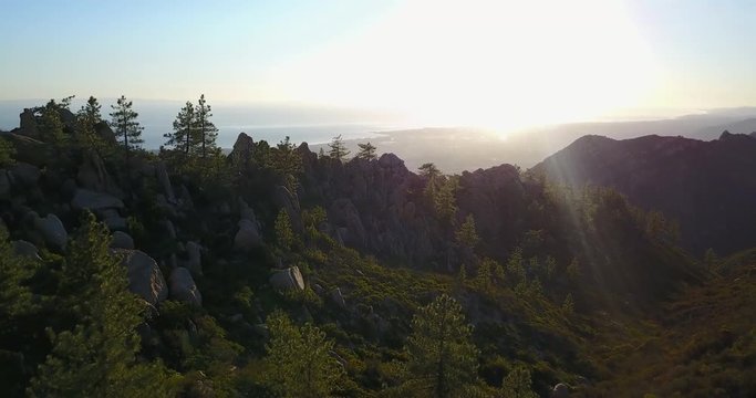 Beautiful Pine Tree Coast Aerial Santa Barbara