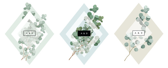 card with branch and eucalyptus leaves, wedding ornament concept. Floral poster, invite. Vector decorative greeting card or invitation design background © Ardea-studio