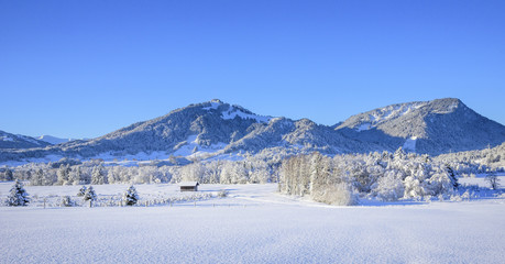 frisch verschneites Oberallgäu am Morgen