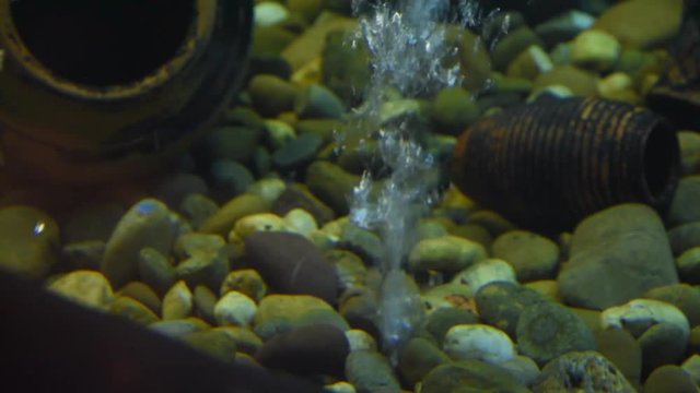 Freshwater fish and aquatic organisms