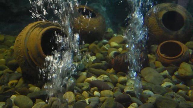 Freshwater fish and aquatic organisms