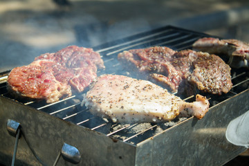 barbecue, meat on the grill