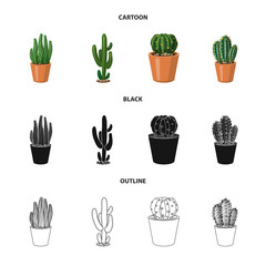 Vector illustration of cactus and pot sign. Set of cactus and cacti stock symbol for web.