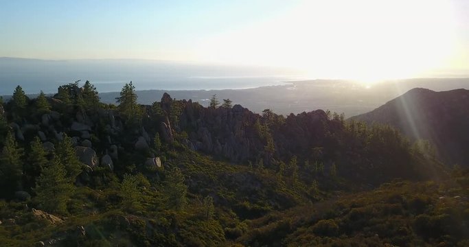 Beautiful Coastal Mountains Pine Tree Aerial