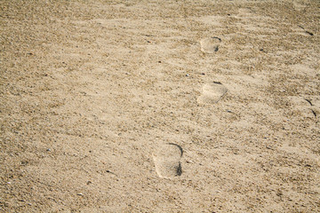 footprints in the sand, sea, beach summer