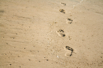 footprints in the sand, sea, beach summer