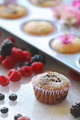 Muffins in form just baked