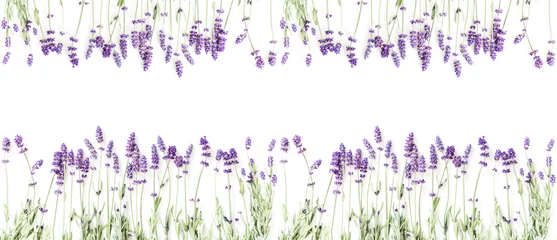 Papier Peint photo Lavande Flowers composition. Frame made of fresh lavender flowers on white background. Lavender, floral background. Flat lay, top view, copy space, banner 