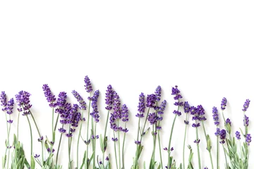 Foto op Plexiglas Bloemen samenstelling. Frame gemaakt van verse lavendel bloemen op witte achtergrond. Lavendel, bloemenachtergrond. Platliggend, bovenaanzicht, kopieerruimte © prime1001