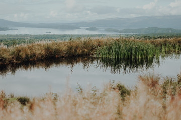 Sea lake Scotland green landscape