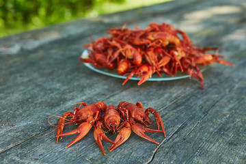 Crawfish cooked and served on wooden background
