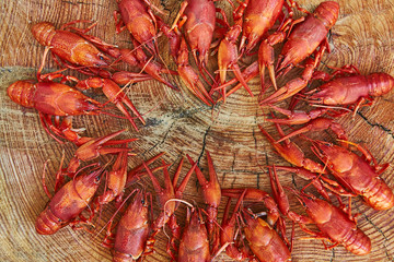 Crawfish cooked and served on wooden background