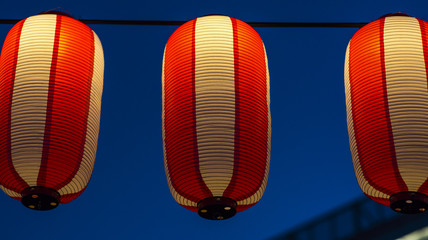 Paper lanterns has been in existent in china, japan and korea for centuries and they are usually...