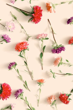 Flowers composition. Pattern made of fall flowers on light pastel pink background. Autumn concept. Flat lay, top view 